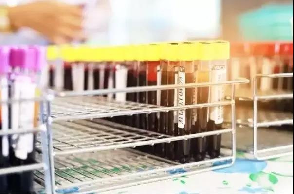 Z6��������ʱ���й������ٷ���վ