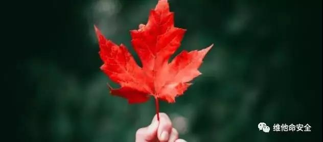 Z6��������ʱ���й������ٷ���վ